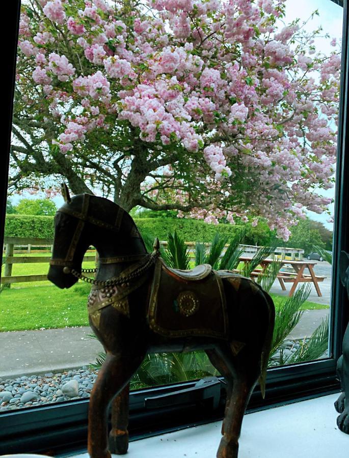 Unique Equestrian Lifestyle Bed & Breakfast Tamahere Luaran gambar