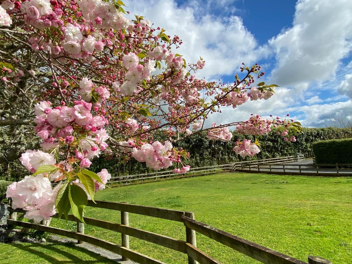Unique Equestrian Lifestyle Bed & Breakfast Tamahere Luaran gambar